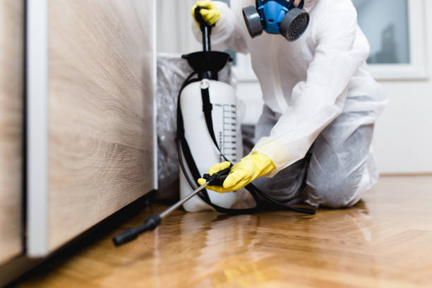 Best Insect Control  in Crane, TX