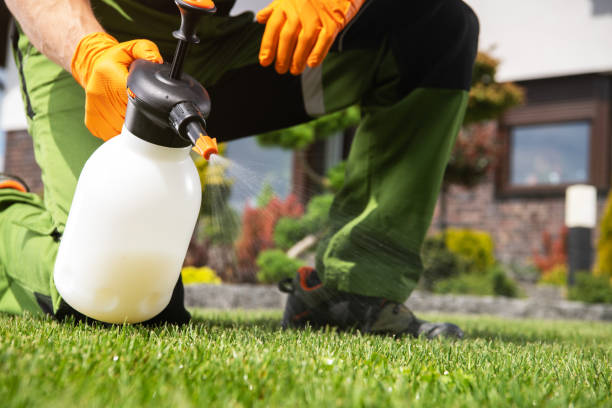Best Pest Inspection Near Me  in Crane, TX