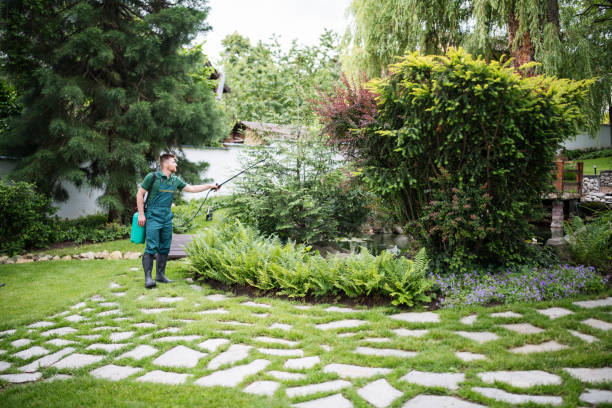 Best Affordable Pest Control Services  in Crane, TX