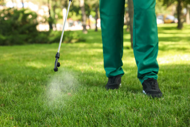 Best Residential Pest Control  in Crane, TX