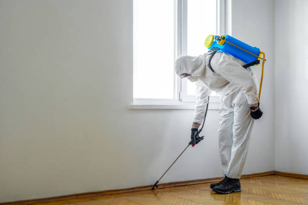 Professional Pest Control in Crane, TX