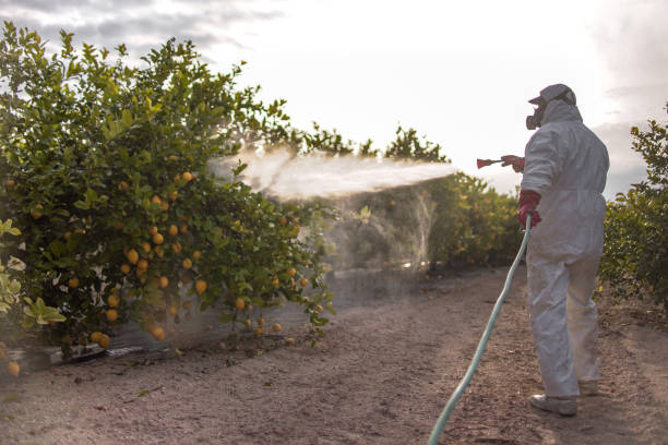 Best Bed Bug Extermination  in Crane, TX