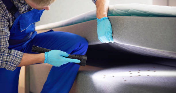 Best Pest Removal Services  in Crane, TX