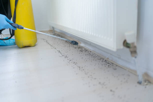 Best Affordable Pest Control Services  in Crane, TX