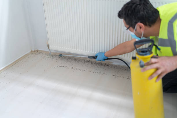 Best Termite Control Services  in Crane, TX